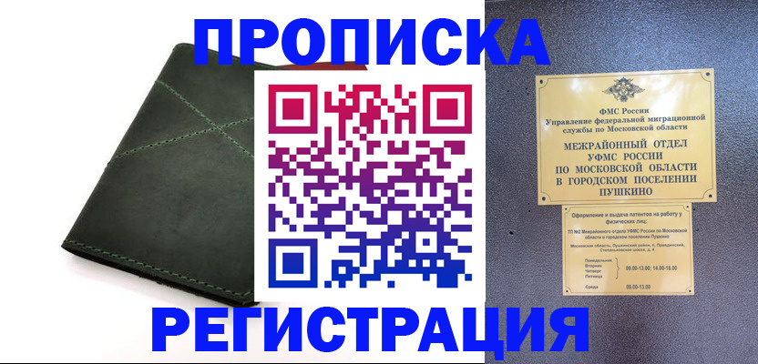 прописка в квартире в Шагонаре